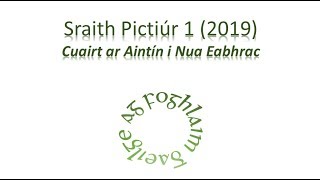Sraith Pictiúr: Cuairt ar Aintín i Nua Eabhrac