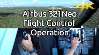 A321Neo flight controls operation. (and a bird strike)