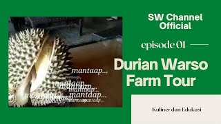 Wisata Edukasi Durian Warso Farm