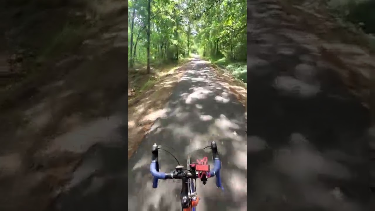 Greenway Bike trail West Ashley Charleston SC