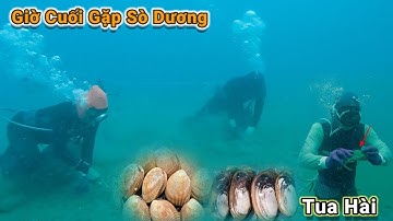 Lặn Biển Ngày Thứ 3 Tại LaGi Bình Ty Bắt Sò Dương Tua Hài /Tập 181