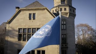 Bachelor in International Relations at IE University