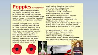 Poppies