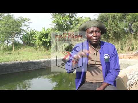 FISH FARMING: NO WETLAND NO PROBLEM