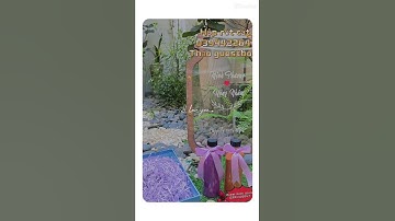 Hộp rót cát đám cưới thay rót rượu sâm-panh