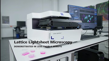 ZEISS Lattice Lightsheet 7 - Workflow