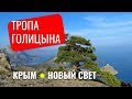 🌄 Крым #5 Шторм в Прибережном. Покоряем тропу Голицына в Новом Свете. Вечерний Коктебель.