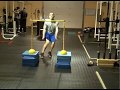 Vertical Jump Training