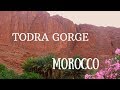 Todra gorge