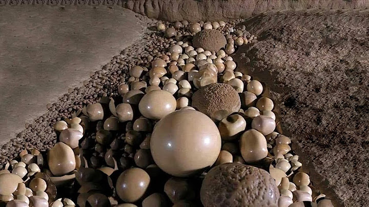 10 Incroyables Découvertes Archéologiques faites par des gens ordinaires