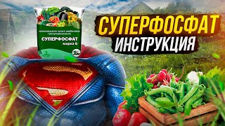 Суперфосфат - супергерой нашего времени! Особенности применения самого популярного удобрения.