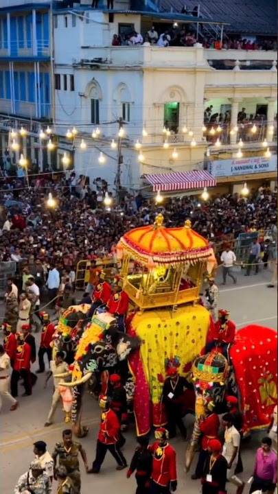 Mysore Dasara 2024❤ #mysoredasara #mysuru #mysore #viral #dasara #mysorepalace #mysurupalace #shorts
