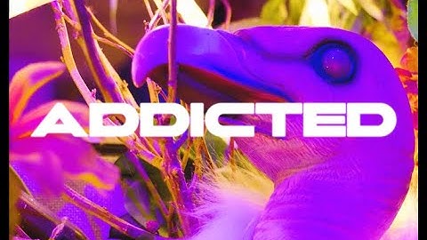 ADDICTED (Unofficial Chainsmokers Music Video)