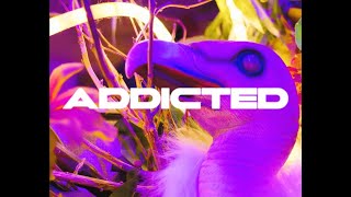 ADDICTED (Unofficial Chainsmokers Music Video)