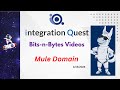 20250115 Bits-n-Bytes: Setting Up Mule Domains and Clustering for Integration Success