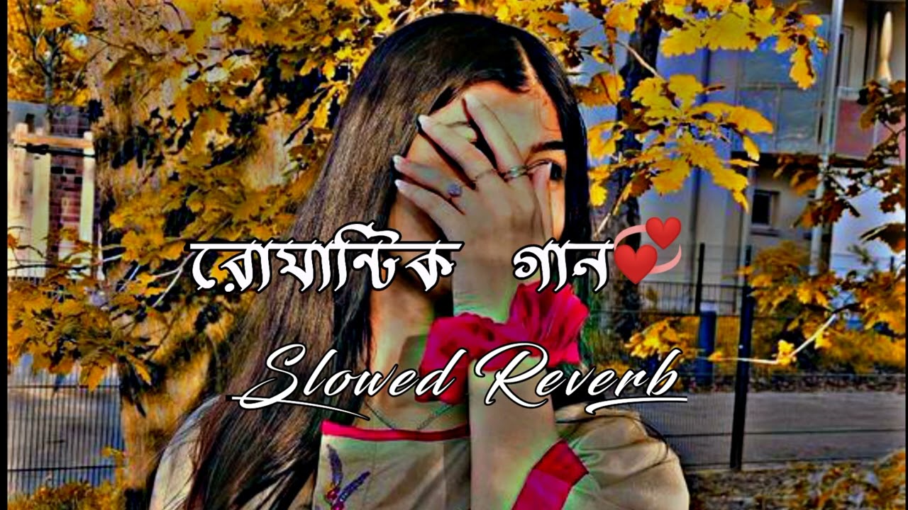 Best Romantic song  Lo fi Song  Slowed Reverb  Bangali Lo fi Song  DD Bangali Music 