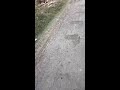 Aamir Official is live!