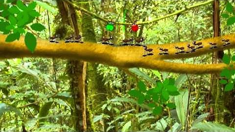 Blender Project : Worm Story : Storyboard Animatic #1