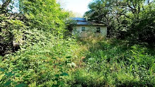 SHOCKING Backyard TRANSFORMATION For Elderly Woman - SATISFYING RESULT