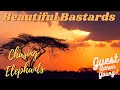 #44 Chasing Elephants with Aaron Young