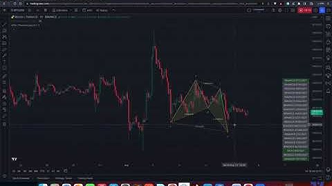 HOW-TO: Auto Harmonic Pattern - Screener [Trendoscope]