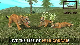 Wild Cougar Sim 3D Android Gameplay 1440p [QHD] screenshot 5