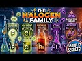 Halogen Family Complete in 12Minutes | MSc Chemistry Entrance | Shortcuts &amp; Tricks-17 group Halogen