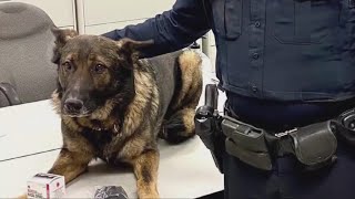 Bedford Heights police K-9 Bosco returned to former handler amid controversy