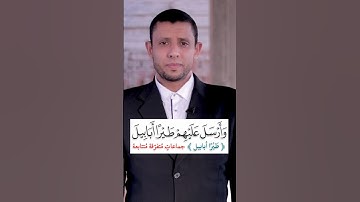 كيف نقرأ سورة الفيل مع المعاني المصحف المعلم