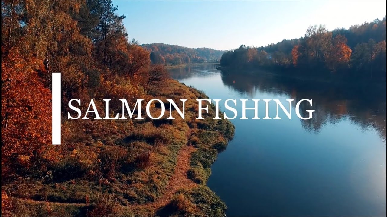 рыбалка на лосося 2019 Neris