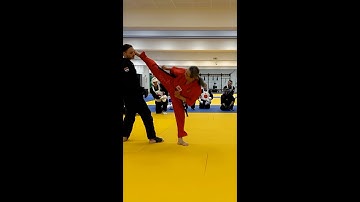 Sparring Combinations by Hwa Rang Do® Grandmaster Taejoon Lee