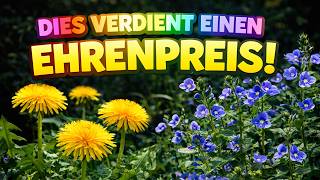 Gartenvideo 03/2026 - Löwenzahn &amp; Ehrenpreis