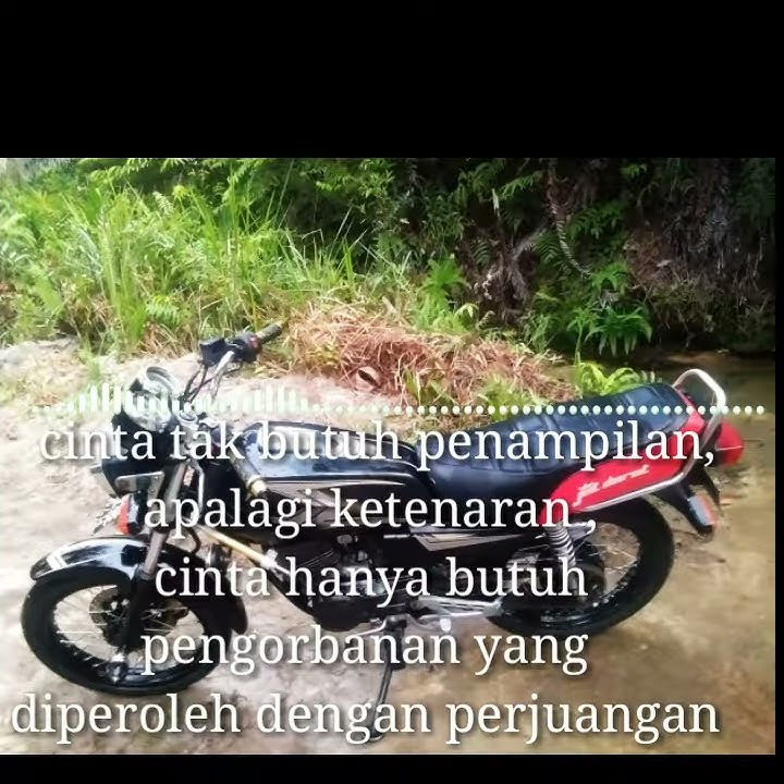 Story wa lintang angin.😢