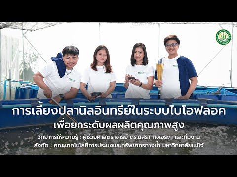 การเลี้ยงปลานิลอินทรีย์ในระบบไบโอฟลอค เพื่อยกระดับผลผลิตคุณภาพสูง