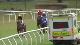 Mareeba 2025 12 26 Race 1