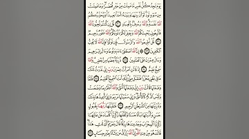 سورة آل عمران بصوت الشيخ محمد ايوب الركباوي راحه نفسيه 💓💓
