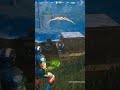 Boxed like a fish 