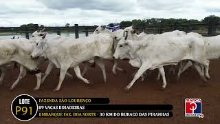 LOTE P91 - 1° ASAS DO PANTANAL