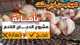 مشروع الدجاج اللاحم ناجح أو فاشل / الجواب من مُربي مثلك بكُل صدق وأمانة