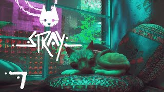 Stray Playthrough Part 7