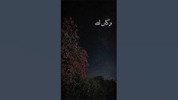 "سورة الفرقان"🌱🌹♥️ #قرآن #اكسبلور #لايك #islamsobhi #عبدالرحمن_مسعد #راحة_نفسية