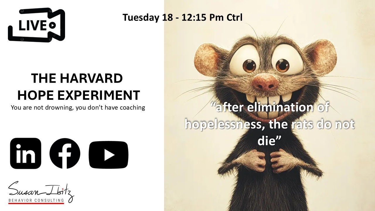 Hope Experiment Rats The Harvard Hope Experiment - why you need coaching - YouTube