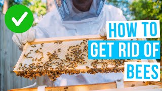 How to GET RID OF BEES without killing them