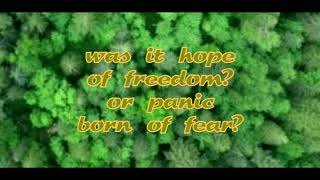 "Banyan Tree" by Robert Hunter performed by "The Other Ones" w/lyrics transcribed