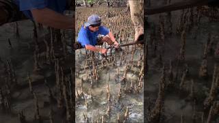 So Very Long Eel Found! 😱🪱 Amazing Catch You Won't Believe!