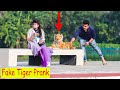 Fake Tiger Prank on Public || Fake Tiger vs Crazy Man Prank Video - Can't Laugh Alone