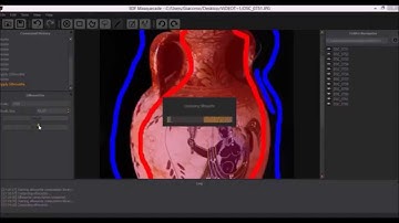 3DF Masquerade Tutorial