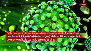 Comment éliminer le coronavirus sur sa peau