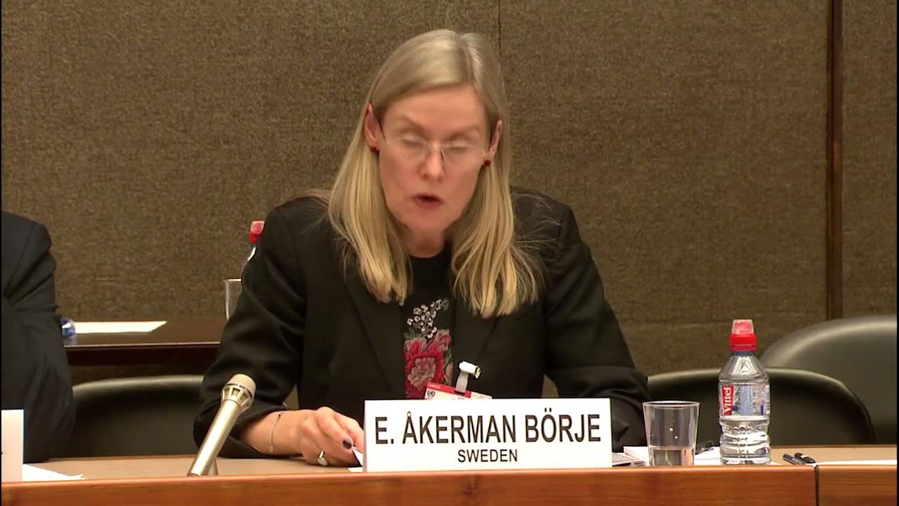 27Nov2014 - Post-2015 Agenda and Migration:Eva Åkerman Börje (ES)