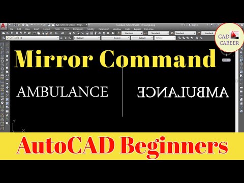 Mirror Command in